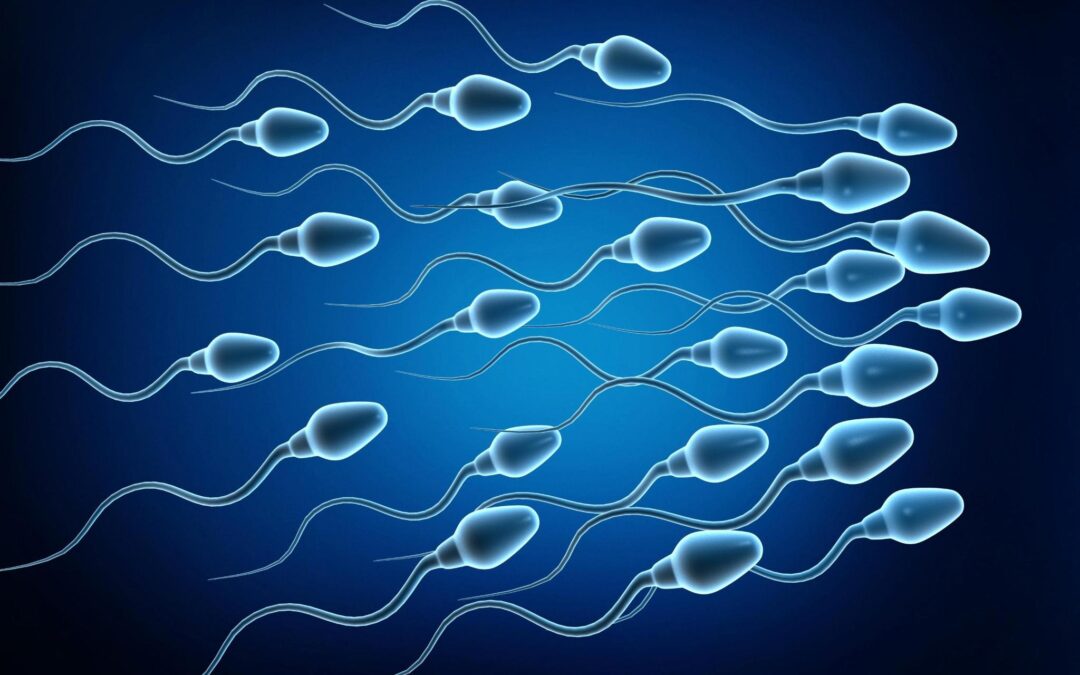 How Do I Know the Quality of my Sperm?