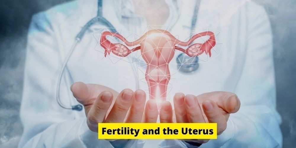 How do you know if your uterus is affecting fertility?