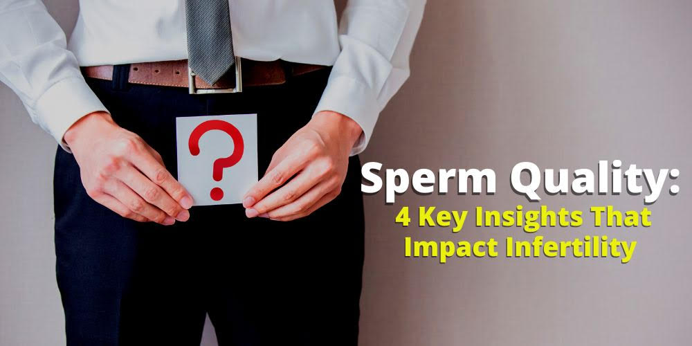 Sperm Quality: 4 Essential Keys to Understanding Infertility