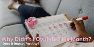 Why Didn’t I Ovulate This Month: 5 Answers That Uncover if and how a Failure to ovulate Impacts Fertility.