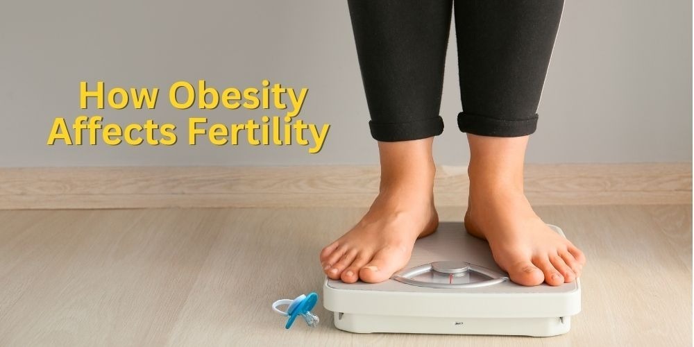 10 Ways Obesity Affects Fertility: Hope is on the Way