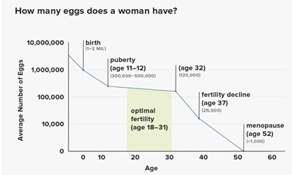 how many eggs