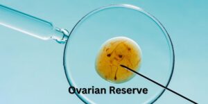 The ovary looks like a chocolate chip cookie. You see this circular structure, a bunch of little black spots going around. More chips, better than the cookie; more black spots, the more eggs you have