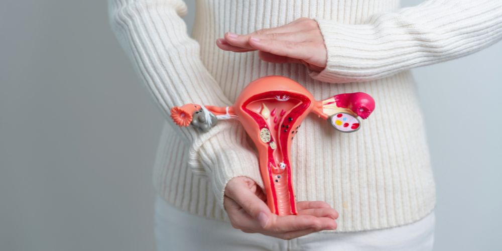 Understanding ovarian cysts and what’s normal, what’s not, and what it means for your fertility.